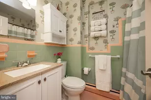 220 N Norris Ave, Phoenixville, PA 19460 - Photo 38