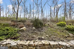 117 Creamery Rd, Elverson, PA 19520 - Photo 40