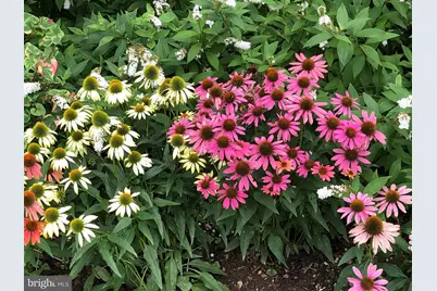 56 Cobblestone Drive, Paoli, PA 19301 - Photo 26