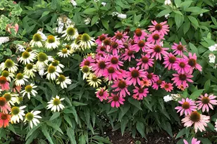 56 Cobblestone Dr, Paoli, PA 19301 - Photo 26