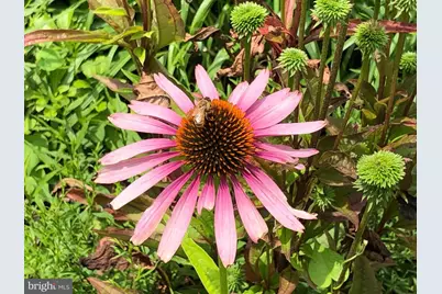 56 Cobblestone Drive, Paoli, PA 19301 - Photo 28