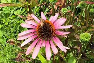 56 Cobblestone Dr, Paoli, PA 19301 - Photo 28