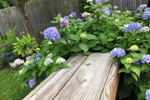 56 Cobblestone Dr, Paoli, PA 19301 - Photo 34