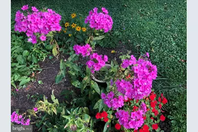 56 Cobblestone Drive, Paoli, PA 19301 - Photo 32