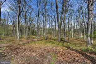 115 Windy Hill Rd, Downingtown, PA 19335 - Photo 32