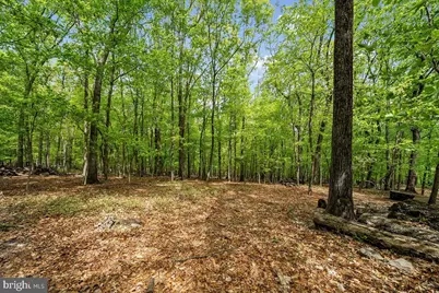 1744 S Forge Mountain Drive, Valley Forge, PA 19481 - Photo 54