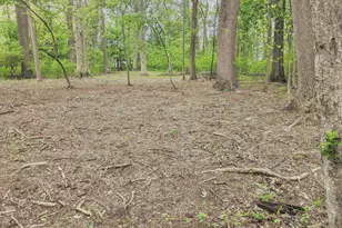 Lot 1B Lisadell Dr, Kennett Square, PA 19348 - Photo 50