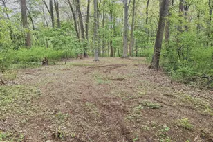 Lot 1B Lisadell Dr, Kennett Square, PA 19348 - Photo 48