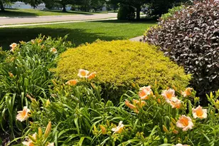 126 Hemlock Dr, Cochranville, PA 19330 - Photo 46