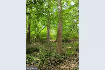 294 Old Racetrack Road, Parkesburg, PA 19365 - Photo 4