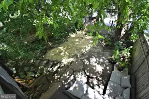 175 2nd Ave, Phoenixville, PA 19460 - Photo 68