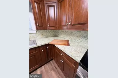 213 Buchanan Street, Phoenixville, PA 19460 - Photo 20
