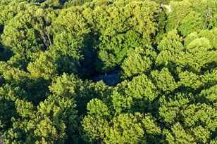7 Lafayette Pl, Chadds Ford, PA 19317 - Photo 46