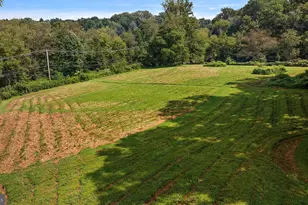 217 Buck Toe Rd, Avondale, PA 19311 - Photo 4
