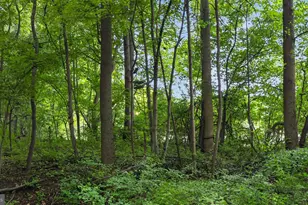 230 Laurel Rd, Elverson, PA 19520 - Photo 66