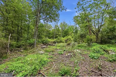 0 Barneston Road, Honey Brook, PA 19344 - Photo 14