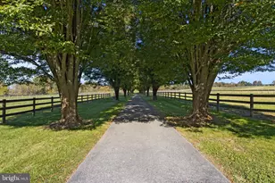 540 Gum Tree Rd, Cochranville, PA 19330 - Photo 72