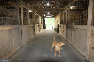 9706 Mountain Road, Grantville, PA 17028 - Photo 8