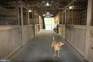 9706 Mountain Rd, Grantville, PA 17028 - Photo 8