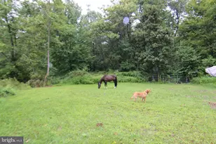 9706 Mountain Rd, Grantville, PA 17028 - Photo 32