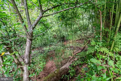 6957 Fishing Creek Valley Road, Harrisburg, PA 17112 - Photo 10