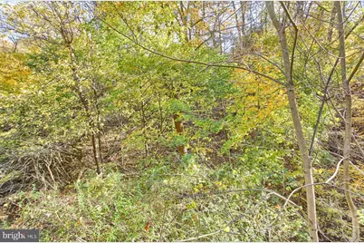 1025 & 1029 Roberts Valley Road, Harrisburg, PA 17110 - Photo 36