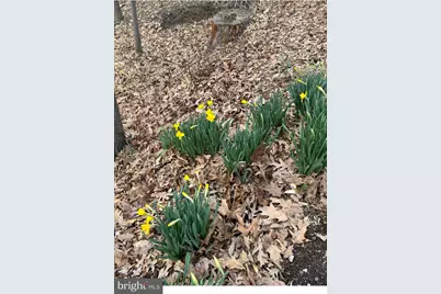 920 Cola Road, Middletown, PA 17057 - Photo 20