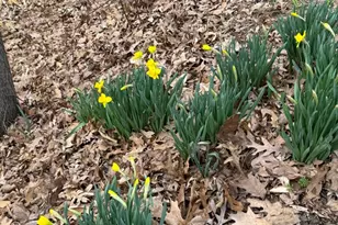 920 Cola Rd, Middletown, PA 17057 - Photo 20