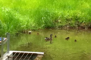 920 Cola Rd, Middletown, PA 17057 - Photo 16