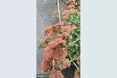 920 Cola Road, Middletown, PA 17057 - Photo 18