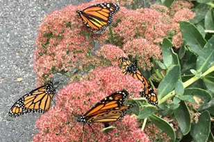 920 Cola Rd, Middletown, PA 17057 - Photo 18