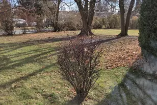 2839 Banks St, Harrisburg, PA 17103 - Photo 4