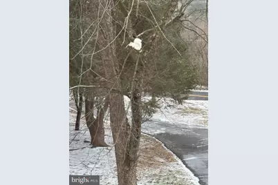 1421 Earlys Mill Road, Palmyra, PA 17078 - Photo 48