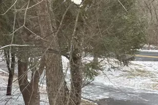 1421 Earlys Mill Rd, Palmyra, PA 17078 - Photo 48