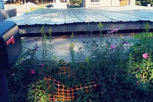 3236 Walnut St, Harrisburg, PA 17109 - Photo 10