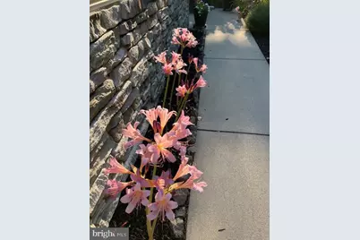 2163 Bordeaux Court, Harrisburg, PA 17112 - Photo 38