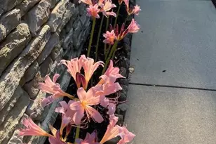 2163 Bordeaux Court, Harrisburg, PA 17112 - Photo 38