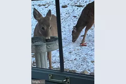 2163 Bordeaux Court, Harrisburg, PA 17112 - Photo 36