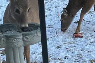 2163 Bordeaux Court, Harrisburg, PA 17112 - Photo 36