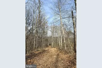 Corner Of Poplar Ridge Ln & Mountain Rd, Dauphin, PA 17018 - Photo 1