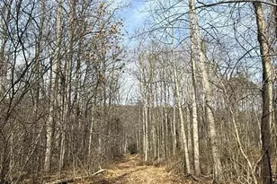 Corner Of Poplar Ridge Ln & Mountain Rd, Dauphin, PA 17018 - Photo 1