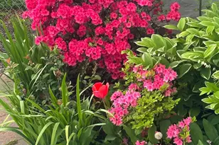 4061 Locust Ln, Harrisburg, PA 17109 - Photo 56