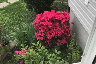 4061 Locust Ln, Harrisburg, PA 17109 - Photo 54