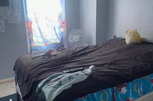 426 Hamilton St, Harrisburg, PA 17102 - Photo 6