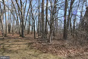 175 Crooked Hill Rd, Hummelstown, PA 17036 - Photo 44