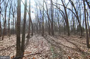 175 Crooked Hill Rd, Hummelstown, PA 17036 - Photo 36