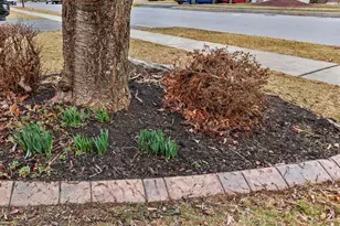 2308 Cypress Dr, Harrisburg, PA 17110 - Photo 44