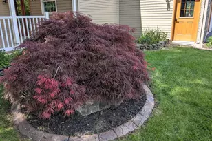 2308 Cypress Dr, Harrisburg, PA 17110 - Photo 54