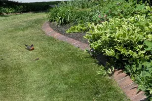 2308 Cypress Dr, Harrisburg, PA 17110 - Photo 54