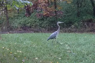 122 Wayne Dr, Harrisburg, PA 17112 - Photo 46